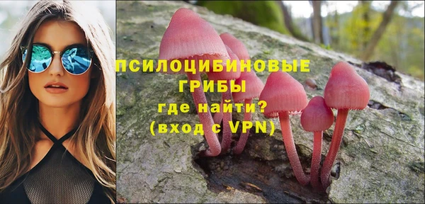 амф Абаза